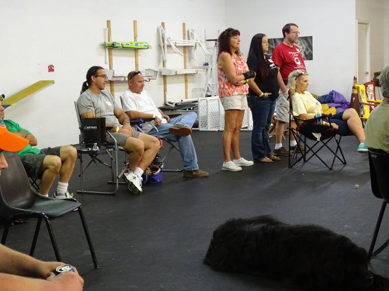 Newfoundland Club of Florida Homepage