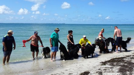 Fort Desoto Beach Event