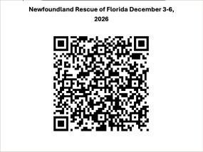 Newfie Fund Day Shirt QR Code